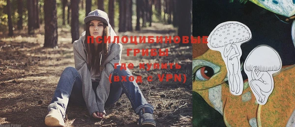 первитин Михайлов