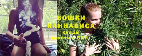 spice Осинники
