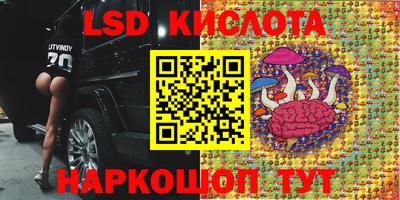 шишки Апшеронск