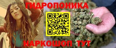 спиды Аргун