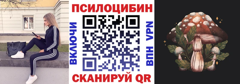 Псилоцибиновые грибы мицелий  цена   Карасук 