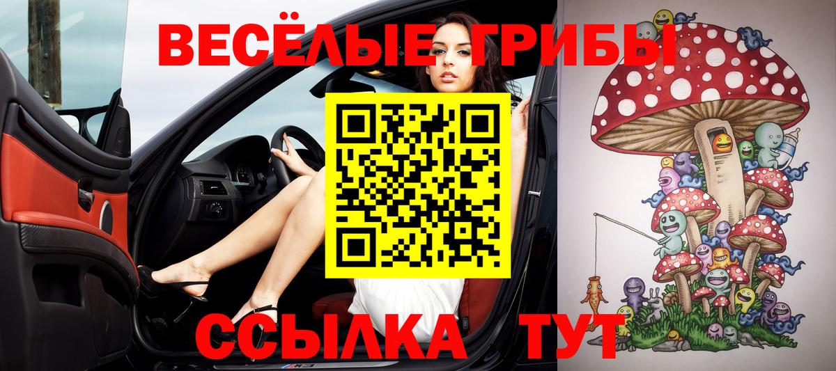 Каннабис  Хэш  Конопля  Карасук  Вход с VPN  Альфа-ПВП  Ешки  Марки ЛСД  МЕФ  Мефедрон 