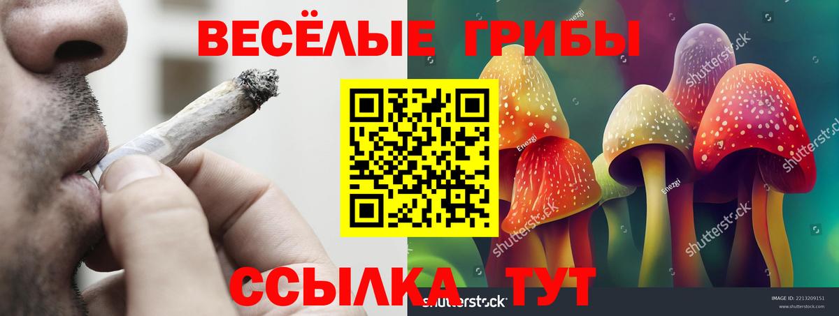 Псилоцибиновые грибы MAGIC MUSHROOMS Карасук