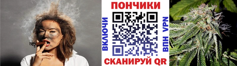 Конопля ГИДРОПОН  закладки  Карасук 
